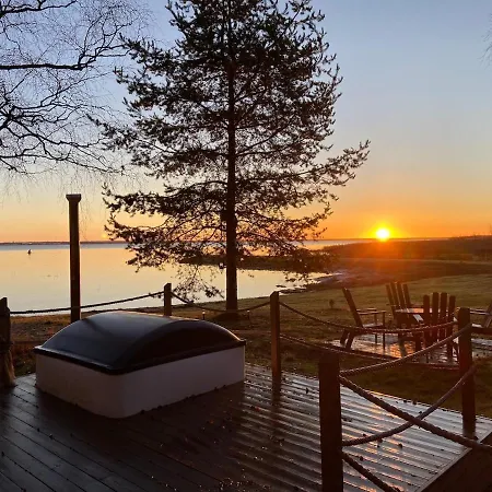 Metsaepirtti Merenrannalla *