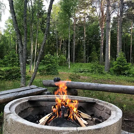 Metsäpirtti Merenrannalla Alpstuga