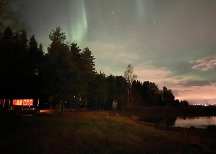 Metsaepirtti Merenrannalla * Oulu