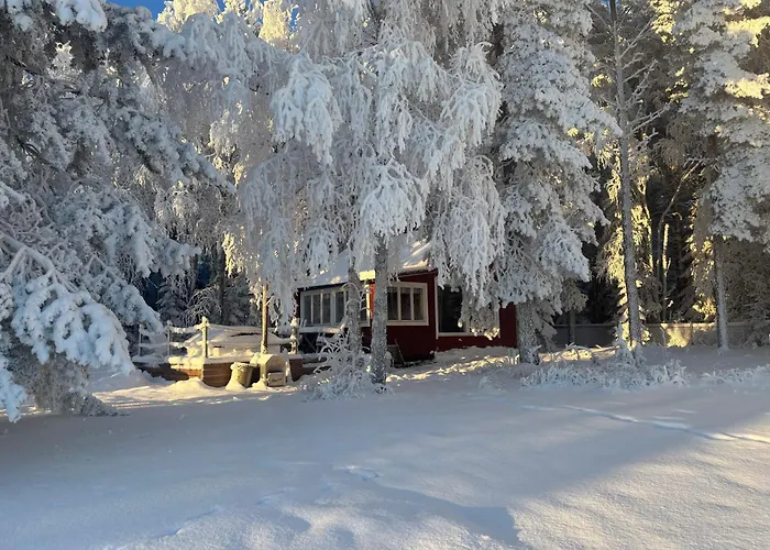 Cute With Sauna By The Sea Oulu